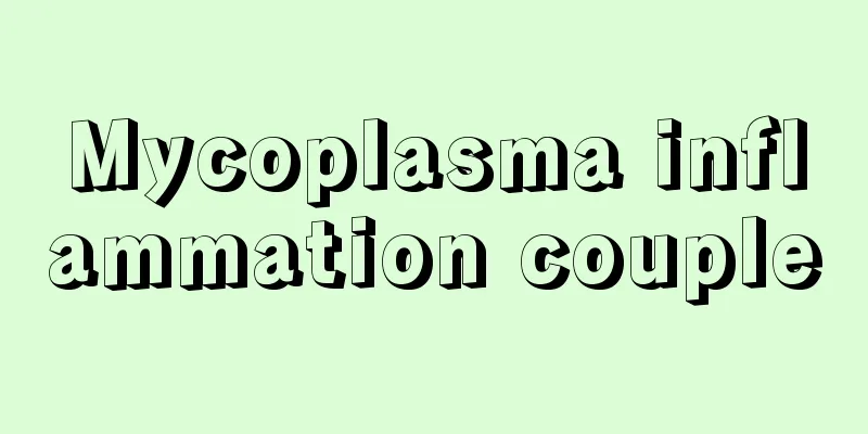Mycoplasma inflammation couple