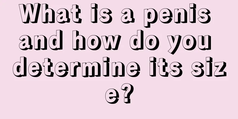 What is a penis and how do you determine its size?