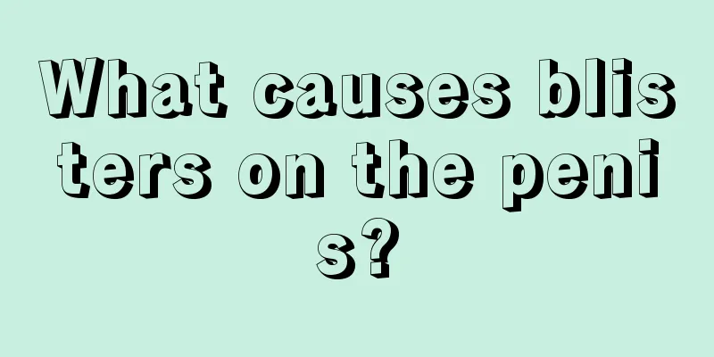 What causes blisters on the penis?