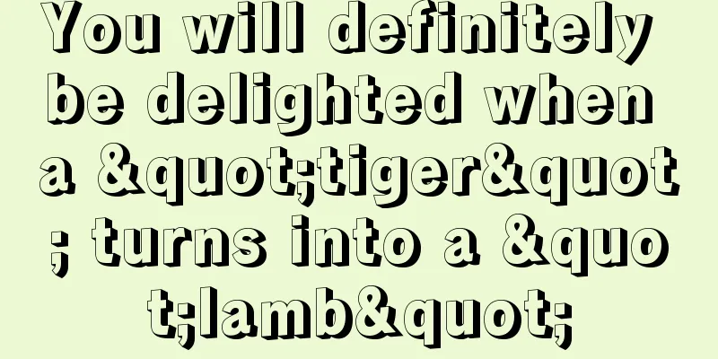 You will definitely be delighted when a "tiger" turns into a "lamb"