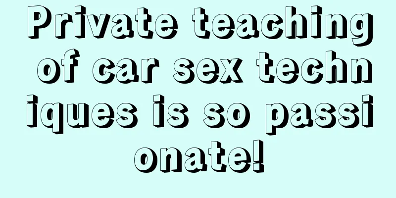 Private teaching of car sex techniques is so passionate!