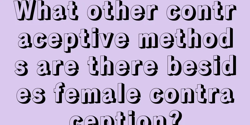 What other contraceptive methods are there besides female contraception?