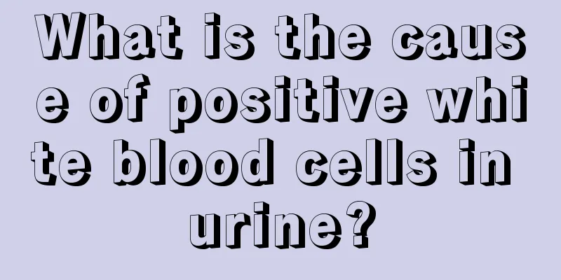 What is the cause of positive white blood cells in urine?