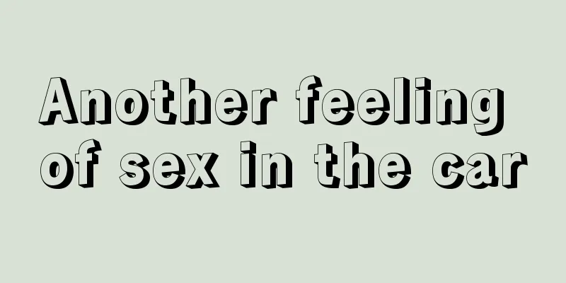 Another feeling of sex in the car