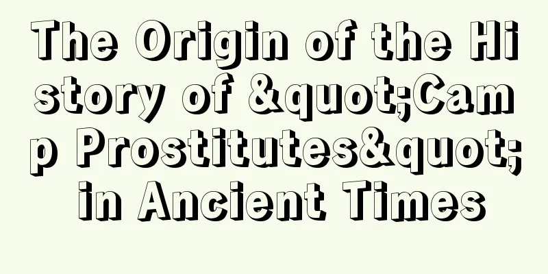 The Origin of the History of "Camp Prostitutes" in Ancient Times