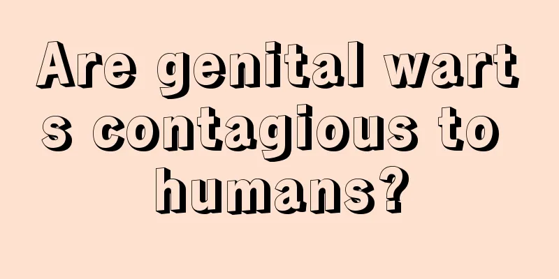 Are genital warts contagious to humans?