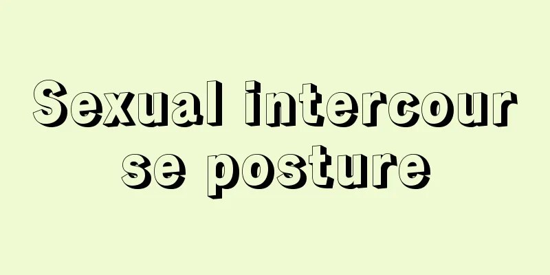 Sexual intercourse posture