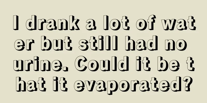 I drank a lot of water but still had no urine. Could it be that it evaporated?