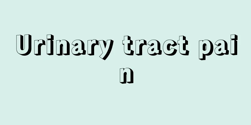 Urinary tract pain