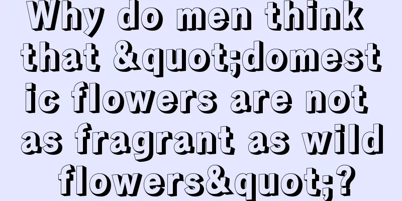 Why do men think that "domestic flowers are not as fragrant as wild flowers"?