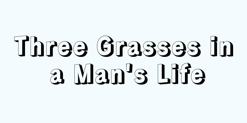 Three Grasses in a Man's Life