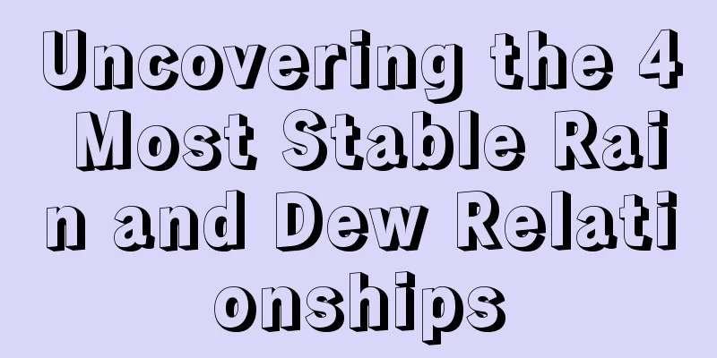 Uncovering the 4 Most Stable Rain and Dew Relationships