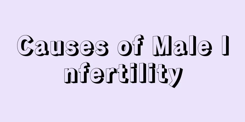 Causes of Male Infertility