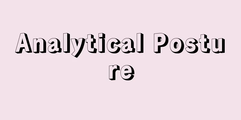 Analytical Posture