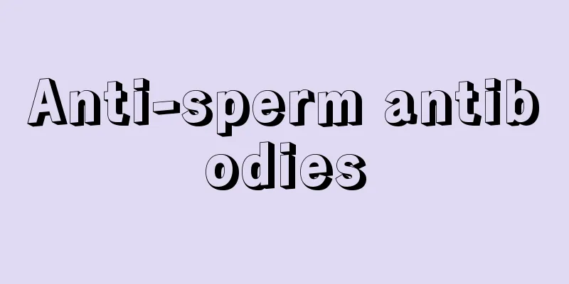 Anti-sperm antibodies